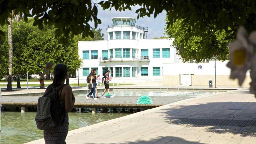 Universidad de Alicante (UA)