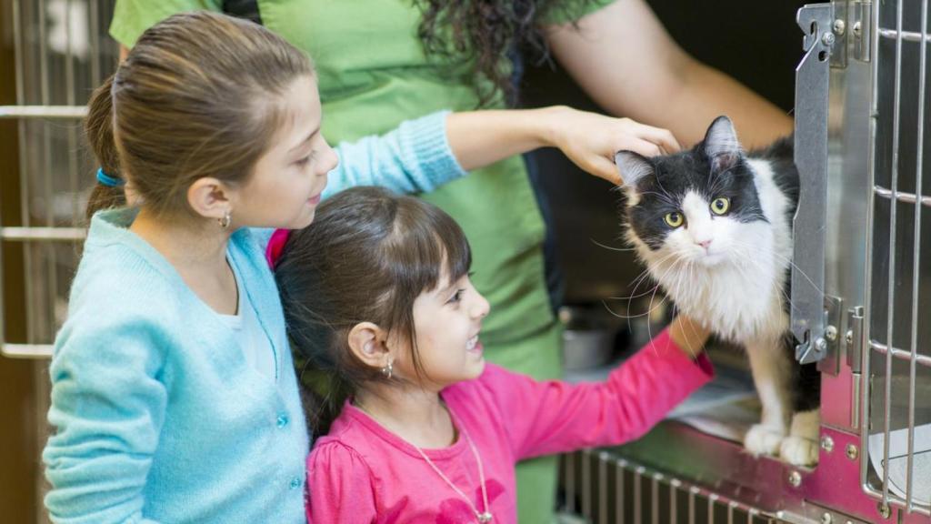 Una familia adoptando un gato.