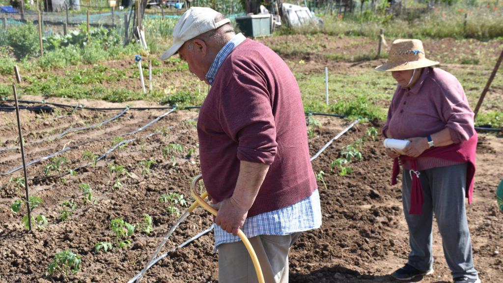 Feliciano y Ángela en su huerto de Valladolid