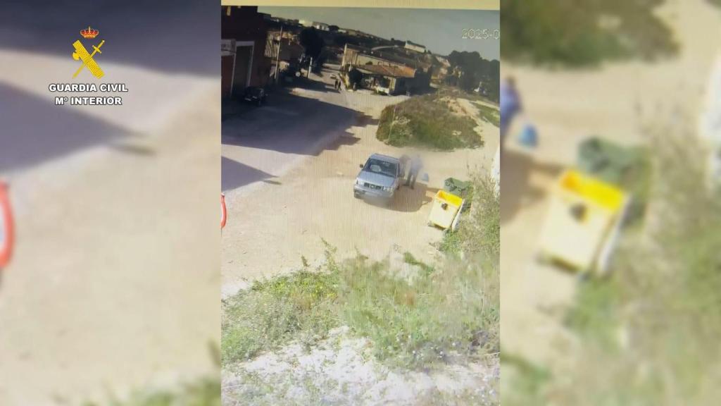 Momento en el que las cámaras captan al hombre tirando a los cachorros a la basura en Caspe
