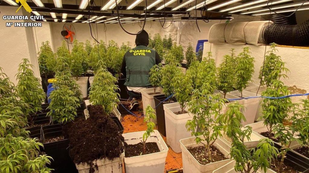 Ocho detenidos tras desarticular una banda dedicada al robo en viviendas en Ourense