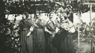 Retrato grupal de cuatro mujeres vestidas con indumentaria tradicional bajo unas vides.