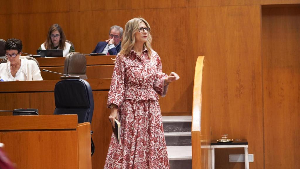 La vicepresidenta Mar Vaquero, en el Pleno de las Cortes