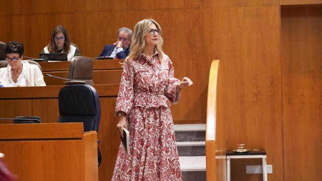La vicepresidenta Mar Vaquero, en el Pleno de las Cortes