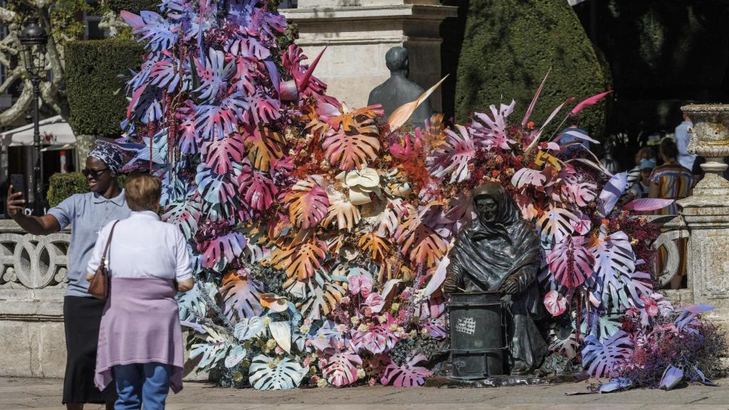 La belleza de las flores llenan de color los rincones de Burgos