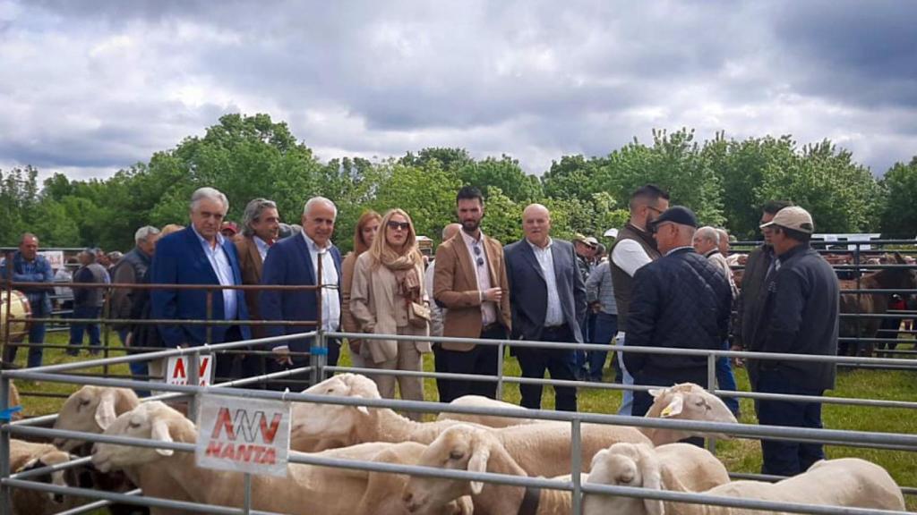 Feria Ganadera y Maquinaria Agrícola 'San Isidro' 2025