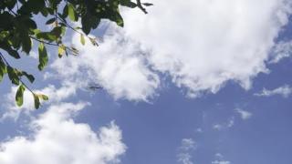 ¿Por qué hay un helicóptero rojo sobrevolando Vigo y su comarca?