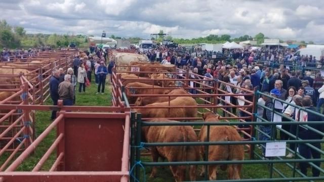 Feria Ganadera y Maquinaria Agrícola 'San Isidro' 2025
