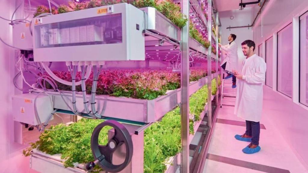 Investigadores en el GrowWise Research Facility que Signify tiene en Eindhoven.