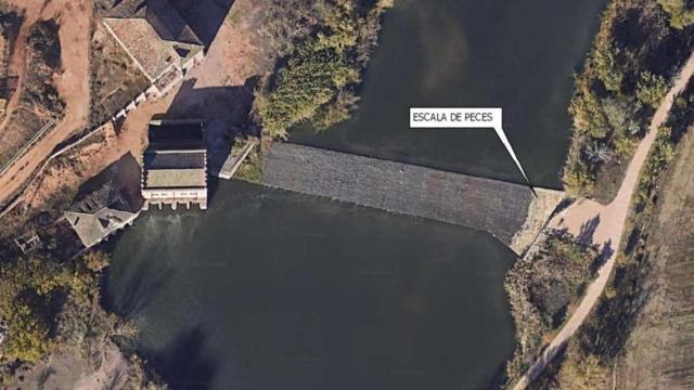 Lugar donde se ubicará la 'escala de peces'