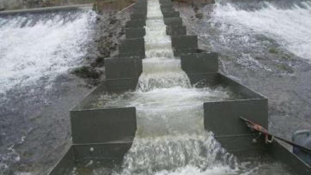 Artesa de la 'escala de peces'.