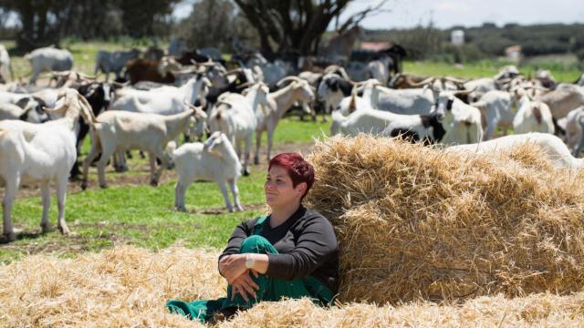 Marta Marín, pastora y dueña del proyecto Entrecabritos.