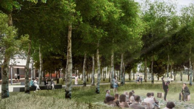 Recreación de las zonas verdes del DAT Alierta