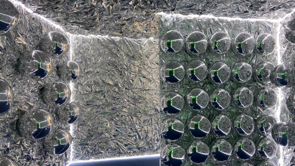 Interior de una de las salas.