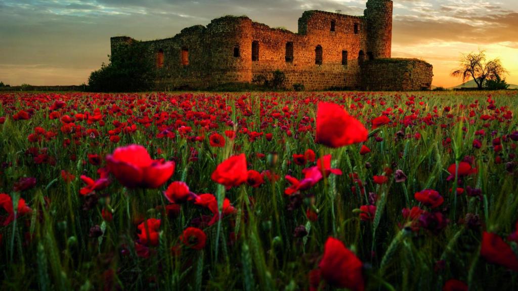 Castillo de Peñaflor en Cuerva (Toledo).