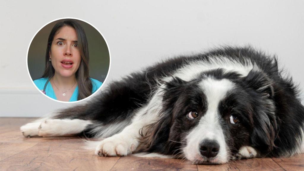 Hay que prestar atención a las señales.