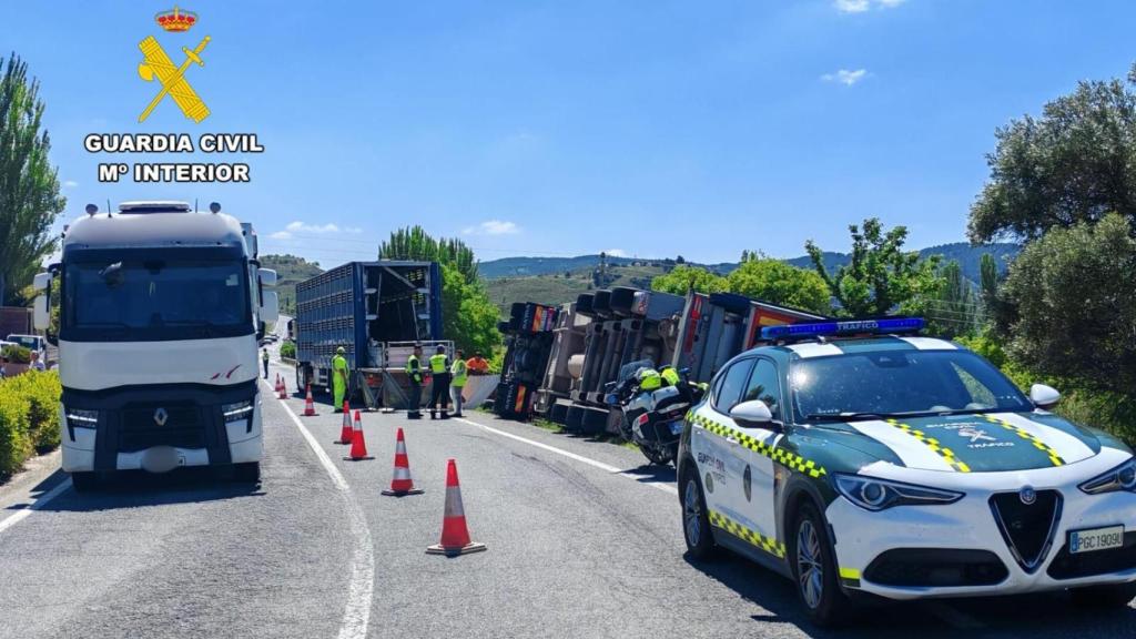 Accidente de tráfico de un camión que transportaba 1.200 cerdos en Zaragoza