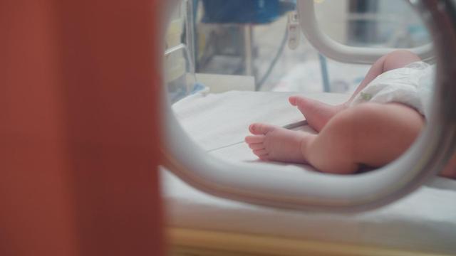 Un bebé en una incubadora