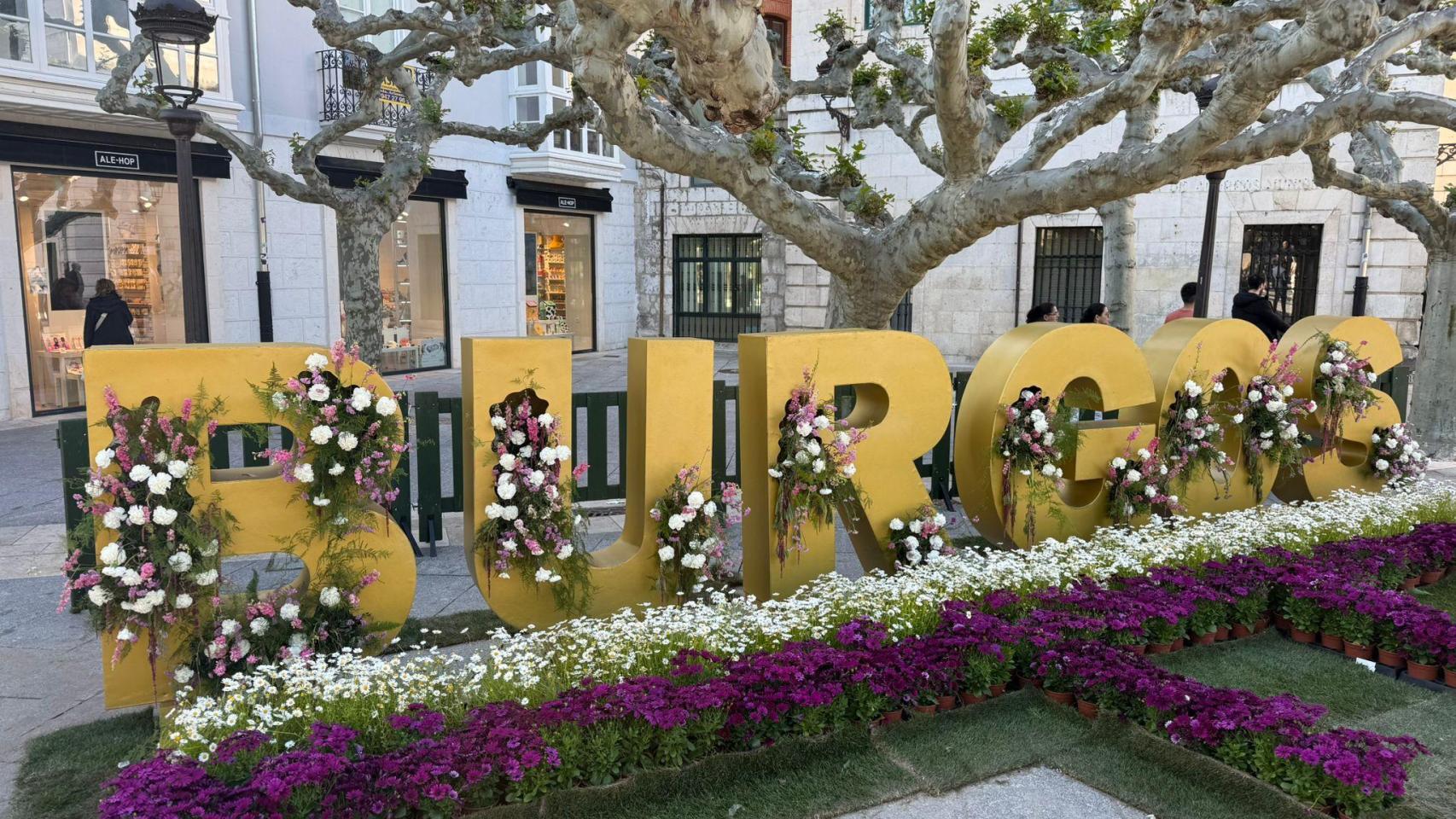 Inauguración de la XI edición de la Fiesta de las Flores