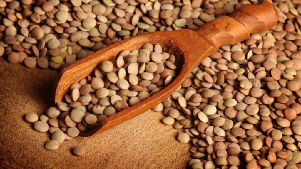Lentejas castellanas