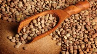 Lentejas castellanas