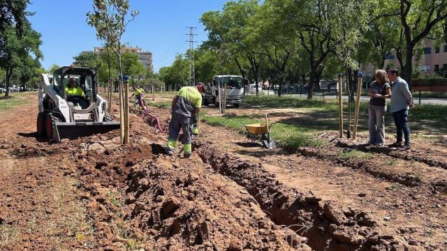 la parcela abandonada de Sevilla Este que el Ayuntamiento convertirá en una zona verde con más de 70 árboles.