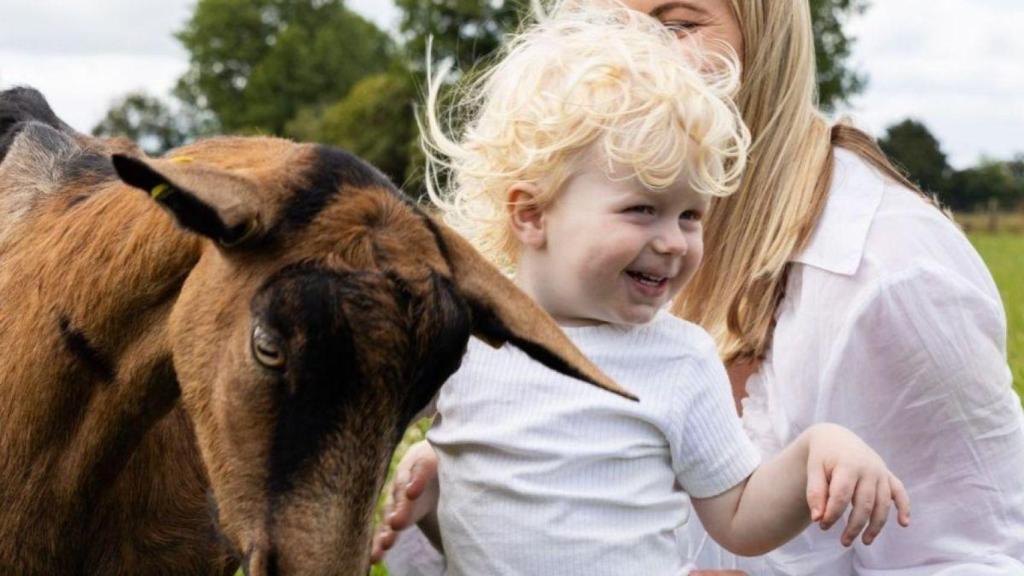 Esta es la solución natural para los problemas de digestión de tu bebé que lleva 10 años en España