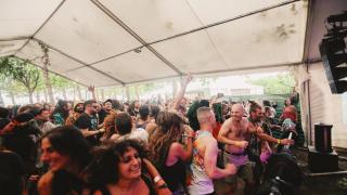 Festival Millo Verde