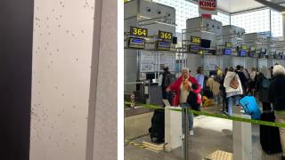 Un montaje de imágenes con los insectos y el Aeropuerto de Málaga.