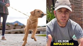 Un problema muy común entre los dueños.