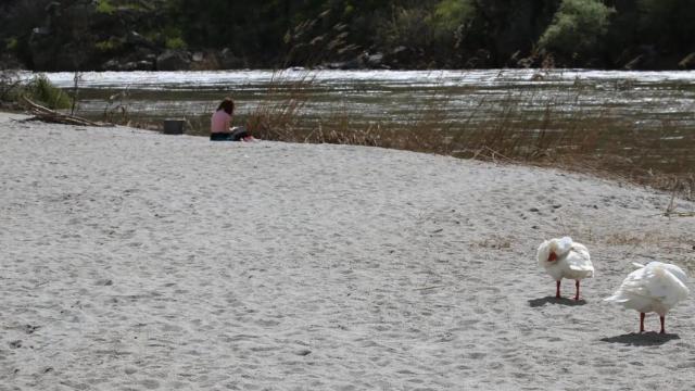 Playa del Tajo en Toledo.