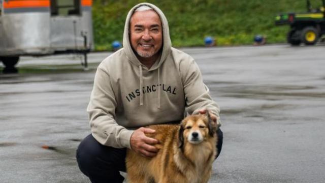 La educación canina es muy importante.