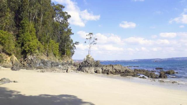 Playa Lobos, en Sada (A Coruña)
