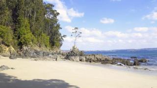 Playa Lobos, en Sada (A Coruña)