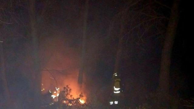 Incendio forestal en Alcaucín de madrugada.