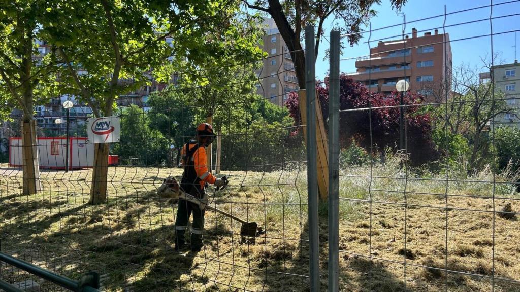 Un trabajador desbrozando las hiervas del río Huerva, en Zaragoza.
