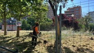 Un trabajador desbrozando las hiervas del río Huerva, en Zaragoza.