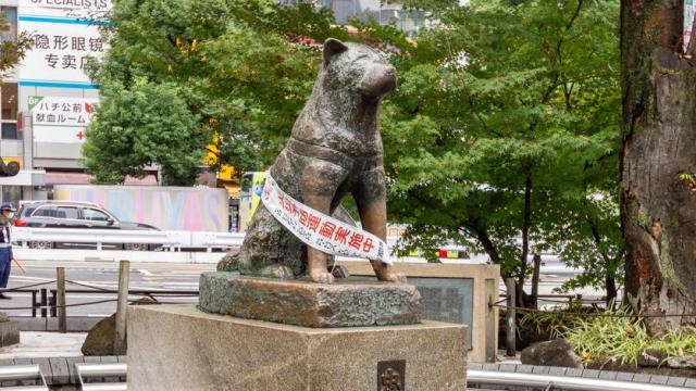 Estatua de Hachiko, el perro que esperó durante 10 años a su dueño después de que este muriera repentinamente en un accidente.