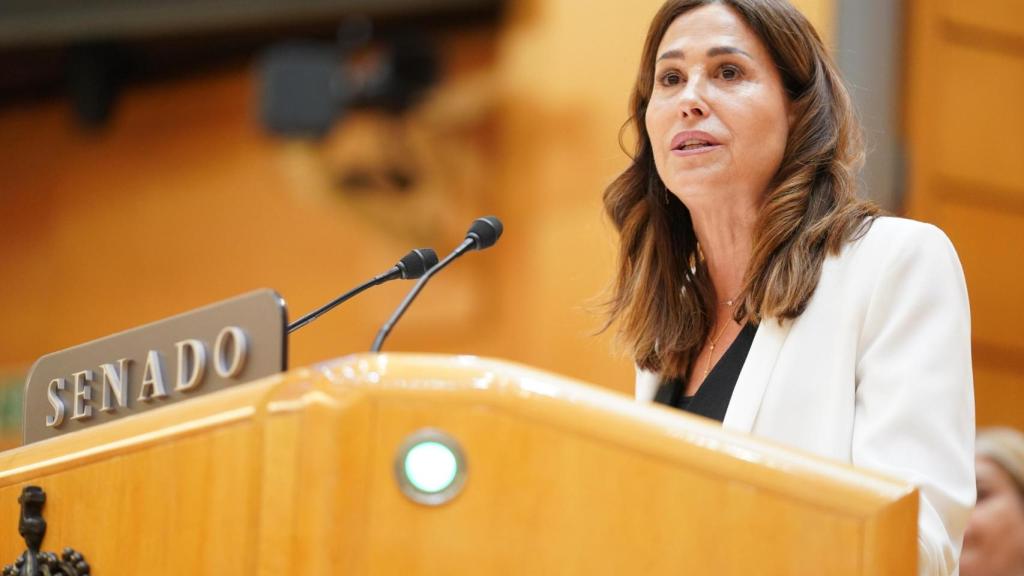 Rosa Romero, senadora del PP por la provincia de Ciudad Real.
