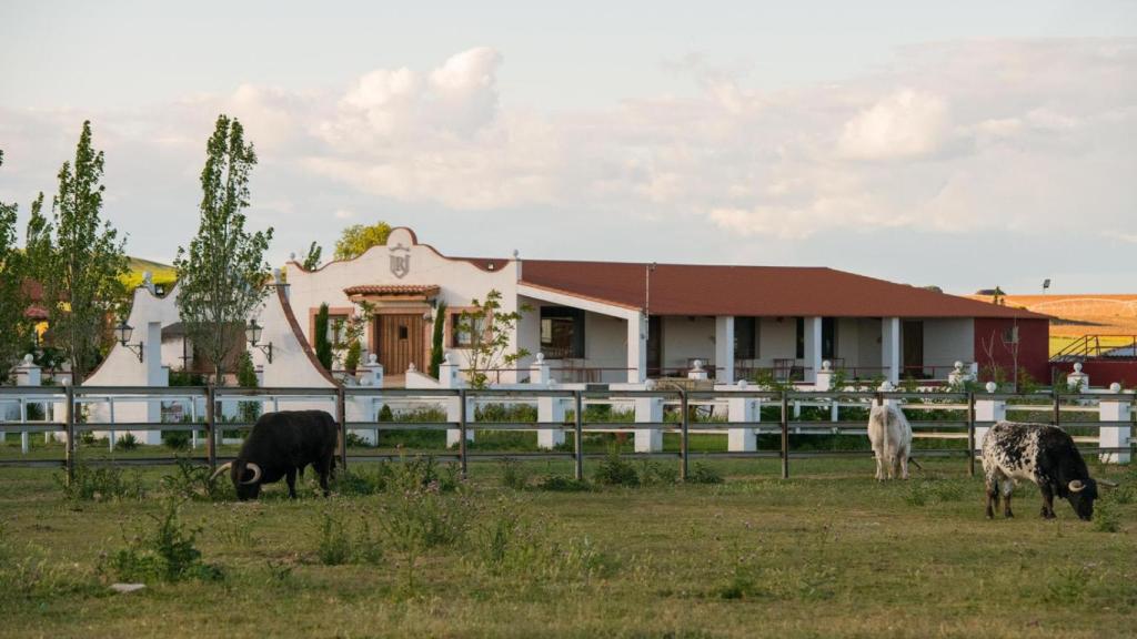 La ganadería de Raúl Nieto llamada Equinotauro