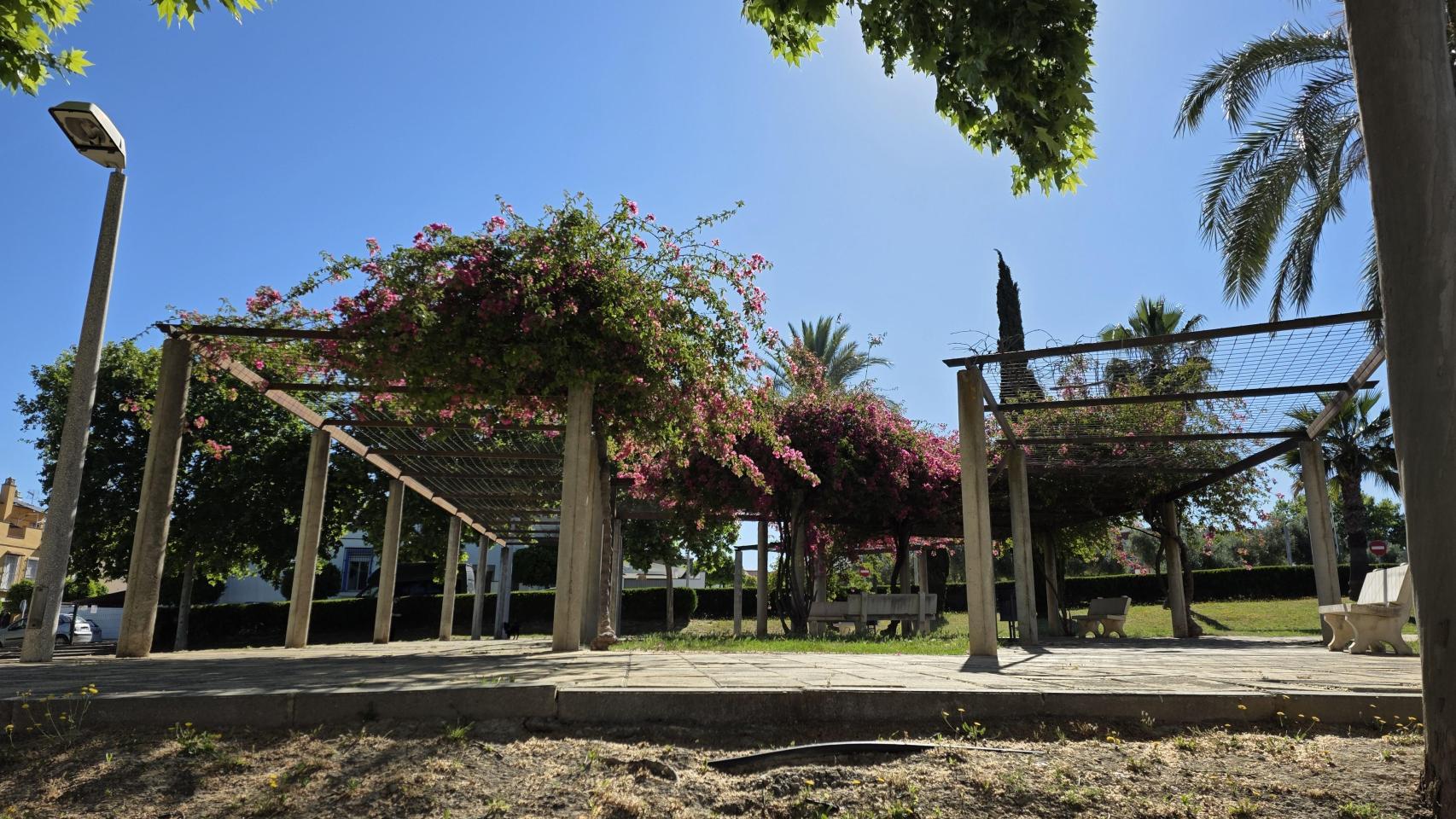 Probamos las cámaras del Samsung Galaxy S25 Edge