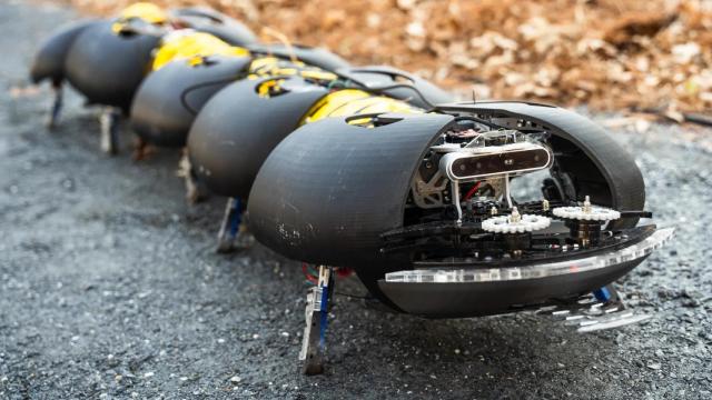 El robot ciempiés de GCR.