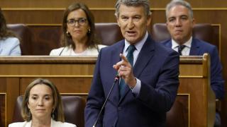 El líder del PP, Alberto Núñez Feijóo, durante su intervención en la sesión de control al Gobierno.