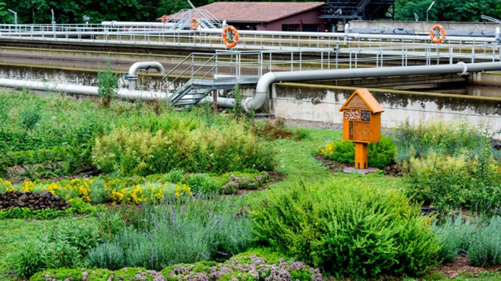Veolia impulsa la naturalización de sus instalaciones, como en la depuradora de la Garrotxa (Cataluña).