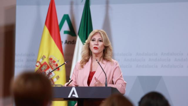 La consejera de Economía y Hacienda, Carolina España.