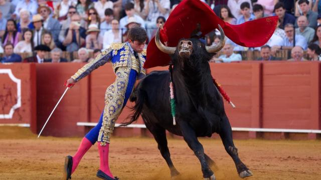 Aarón Palacio, novillero aragonés, en la Maestranza.