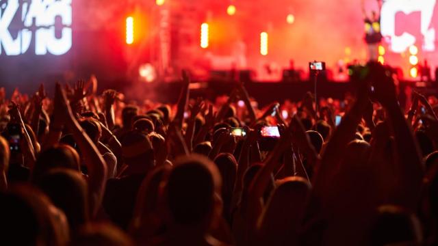 Imagen de archivo del público en un concierto