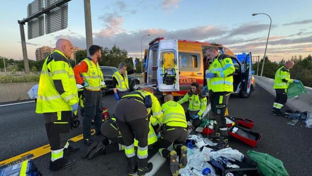 El Samur en el kilómetro 8 de la A-4.