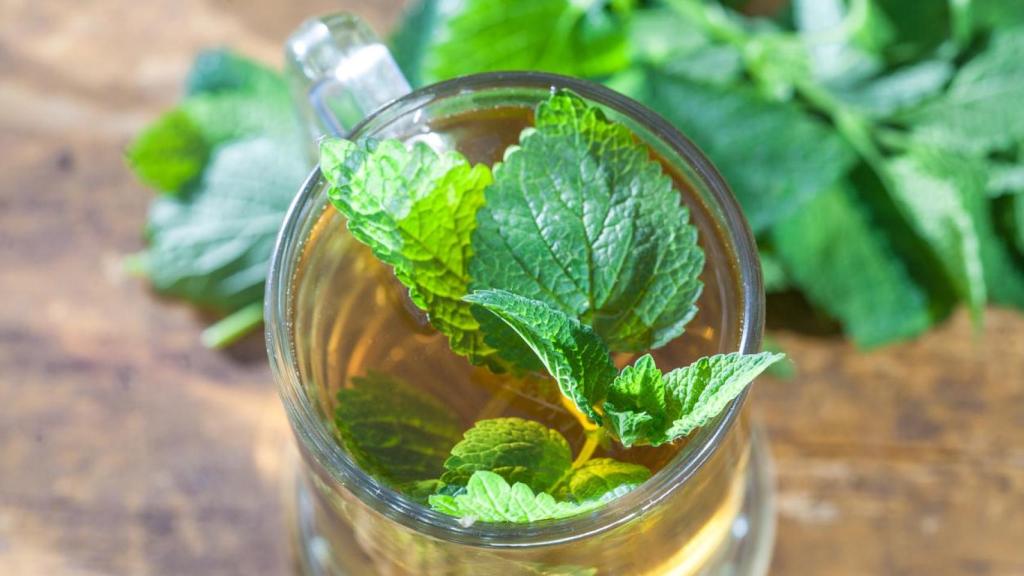 Infusión de Melisa.