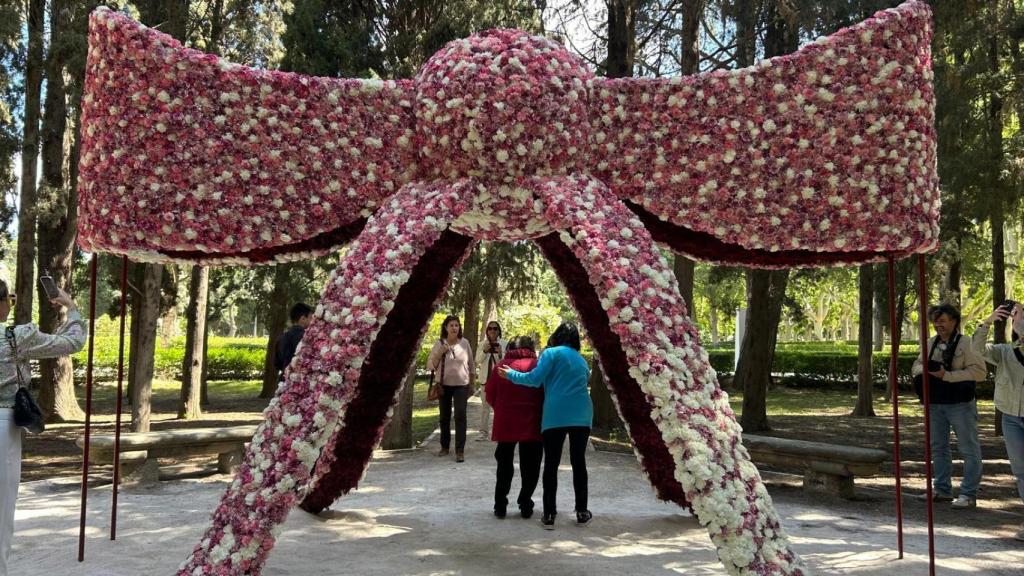 Una de las obras de Zaragoza Florece, 2025.